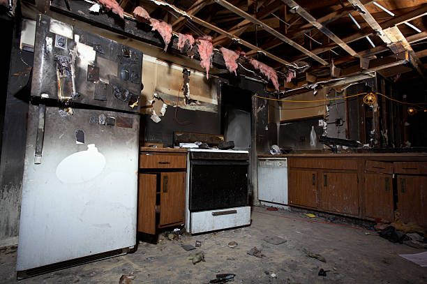 Affordable Fire Damage Removal solutions in Tuscarora, MD